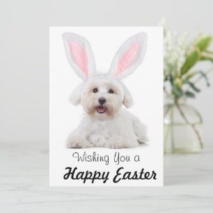 Cartão De Festividades Happy Easter Anyone Dog Bunny Flat Holiday Card