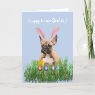 Cartão De Festividades Happy Easter Birthday French Bulldog card