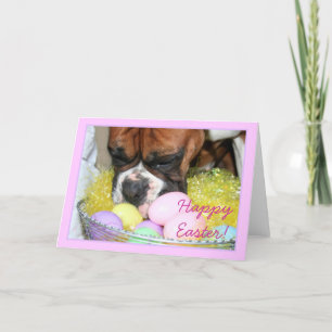 Cartão De Festividades Happy Easter Boxer greeting card