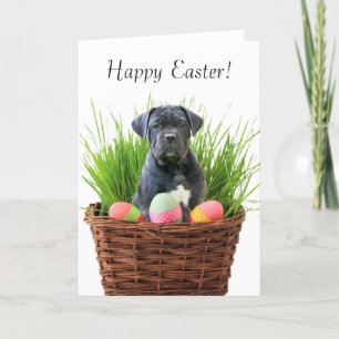 Cartão De Festividades Happy Easter Cane Corso greeting card