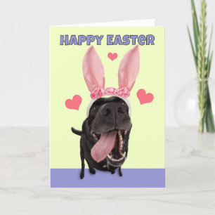 Cartão De Festividades Happy Easter For Anyone Name Dog in Bunny Ears