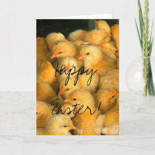Cartão De Festividades Happy Easter! Lots of Chicks