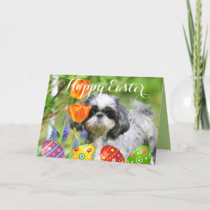 Cartão De Festividades Happy Easter Shih Tzu Girl Greeting Card