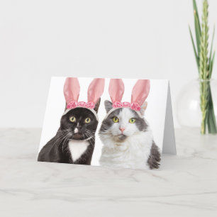 Cartão De Festividades Happy Easter Two Cute Cats in Bunny Ears Humor