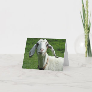 Cartão De Festividades Happy Goat Card