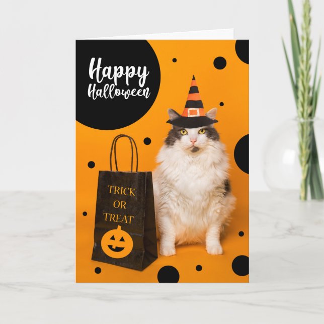 Cartão De Festividades Happy Halloween For Anyone Cute Cat in Witch Hat  (Frente)