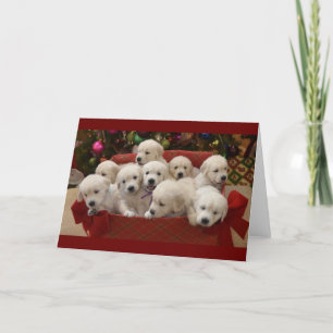 Cartão De Festividades Happy Holiday Golden Retriever puppies