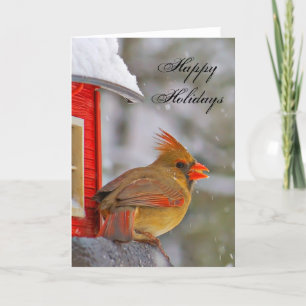 Cartão De Festividades Happy Holidays Female Cardinal