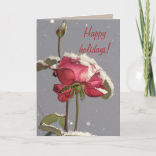 Cartão De Festividades Happy holidays- red rose with snow cover