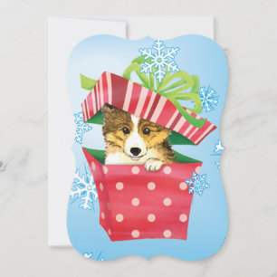 Cartão De Festividades Happy Howlidays Sheltie