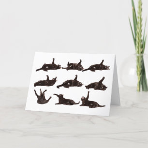 Cartão De Festividades Happy Valentine's Day Cat on Catnip Rolling Humor
