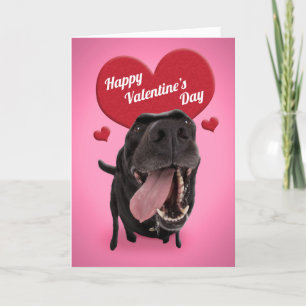 Cartão De Festividades Happy Valentine's Day For Anyone Cute Black Dog