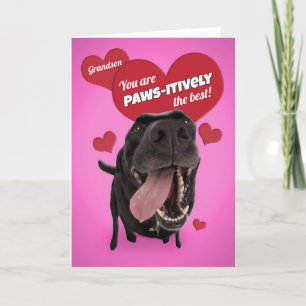 Cartão De Festividades Happy Valentine's Day Grandson Funny Dog Humor