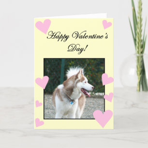 Cartão De Festividades Happy Valentine's Day Siberian Husky Greeting Card