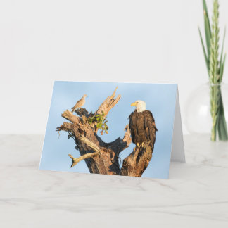 Cartão De Festividades Harriet e a pomba