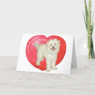 Cartão De Festividades Havanese / Westie Mistura Dia dos Namorados