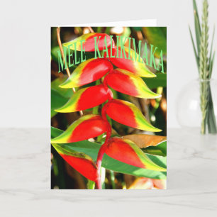 Cartão De Festividades Hawaiian Christmas Cards