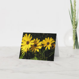 Cartão De Festividades Helianthus salicifolius (girassol de folhas selvag