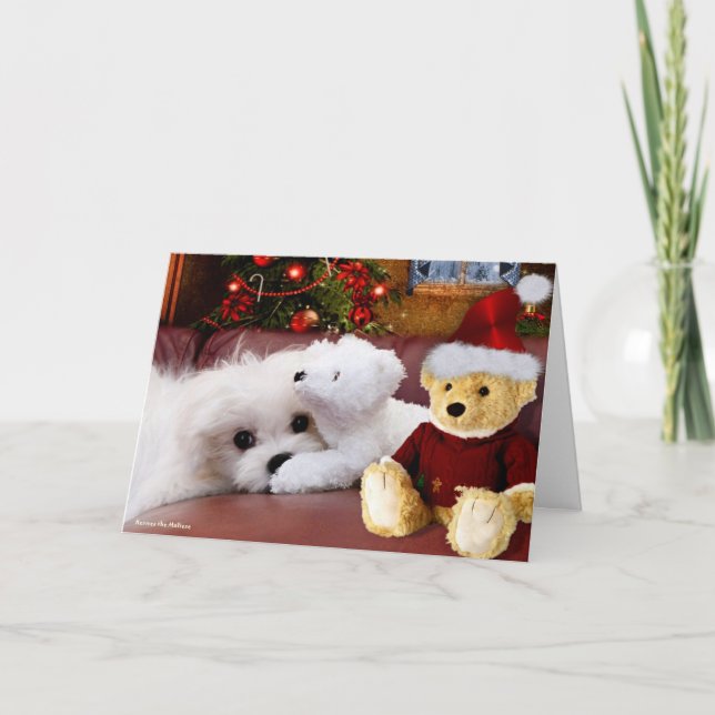Cartão De Festividades Hermes the Maltese Christmas Greeting Card (Frente)