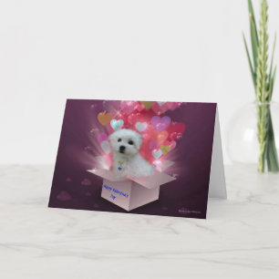 Cartão De Festividades Hermes the Maltese Valentine Card