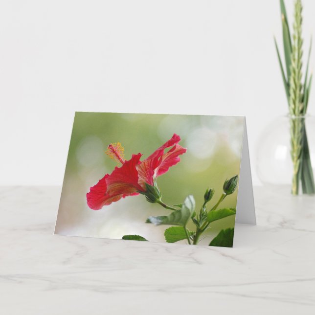 Cartão De Festividades Hibiscus vermelho gravado, luzes de Natal (Frente)