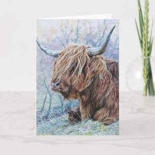 Cartão De Festividades Highland cow, frosty morning
