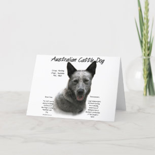 Cartão De Festividades História Azul Australiana do Cão; ACD Azul