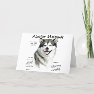 Cartão De Festividades História Malamute do Alaska, tudo sobre Malamutes