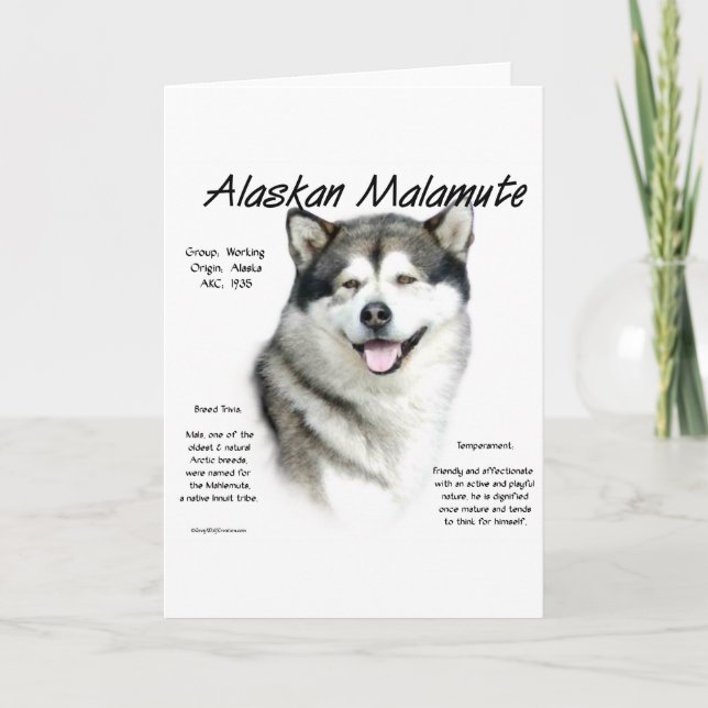 Cartão De Festividades História Malamute do Alaska, tudo sobre Malamutes (Frente)