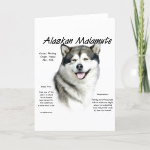 Cartão De Festividades História Malamute do Alaska, tudo sobre Malamutes