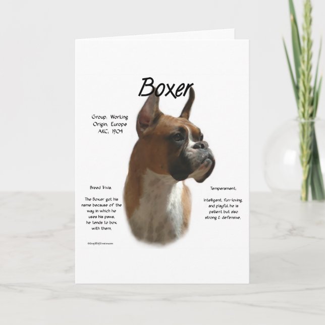 Cartão De Festividades Histórico de Boxers de Fawn (Frente)