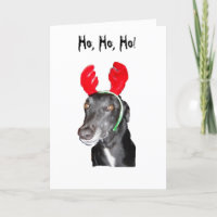 Ho Ho Ho! Antlers