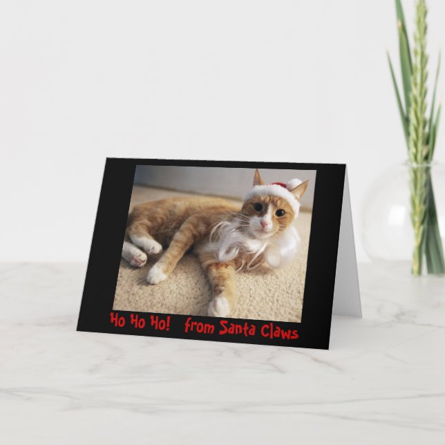 Cartão De Festividades Ho Ho Ho!   das garras do papai noel (Frente)