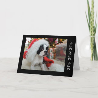 Cartão De Festividades Ho! Ho! ho! Feliz Natal Lola B. Boston