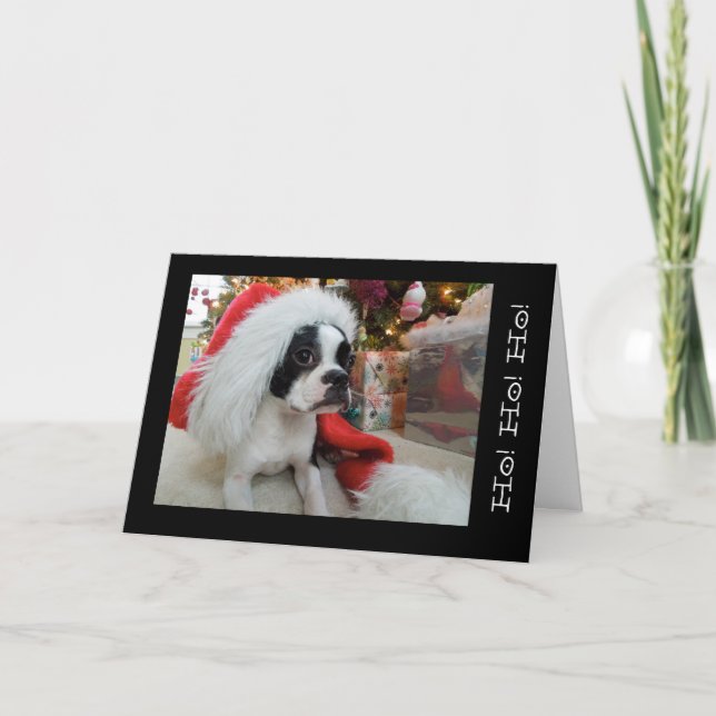 Cartão De Festividades Ho! Ho! ho! Feliz Natal Lola B. Boston (Frente)