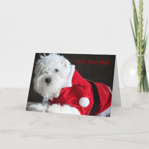 Cartão De Festividades Ho! Ho! Ho! from Santa Dog