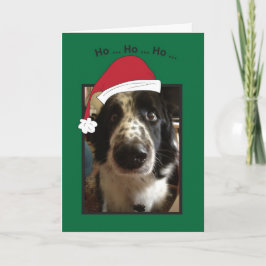 Cartão De Festividades Ho Ho Ho Natal