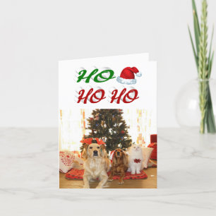 Cartão De Festividades Ho Ho Ho Santa Hat - Escrita fotográfica de Natal