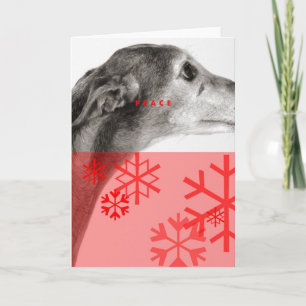 Cartão De Festividades Holiday Card_10