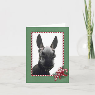 Cartão De Festividades Holiday Cody