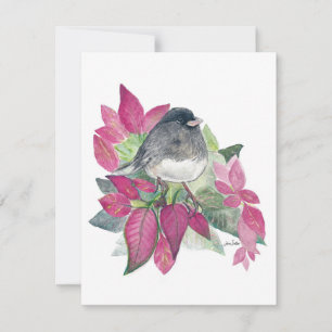Cartão De Festividades Holiday Junco Bird Art