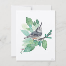 Cartão De Festividades Holiday Nuthatch Bird