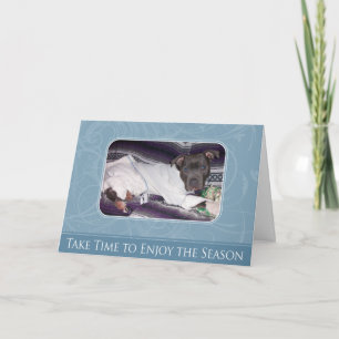 Cartão De Festividades Holiday Pitbull Card