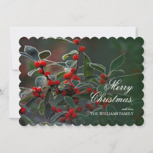 Cartão De Festividades Holly Berries with Frost