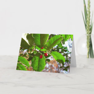 Cartão De Festividades Holly Sai do Feriado II Botânico