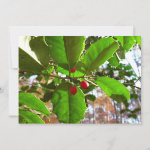 Cartão De Festividades Holly Sai do Feriado II Botânico