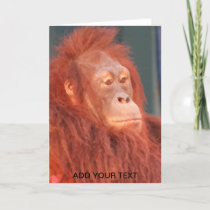 Cartão De Festividades Homem da Floresta de Aquarela de Orangutan