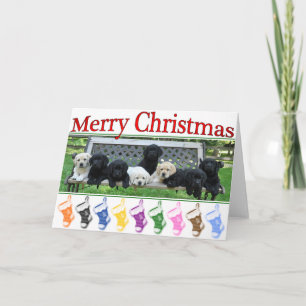 Cartão De Festividades Honor Bench Christmas