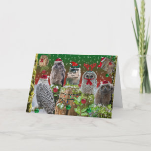 Cartão De Festividades Hoo Hoo Feliz Natal