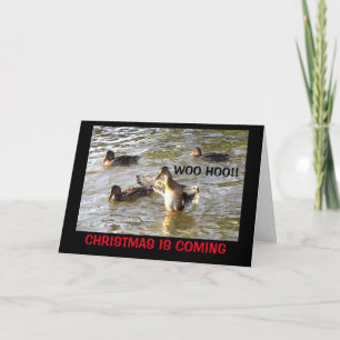 Cartão De Festividades Hora De Pingar Os Caipiras! Humor de Natal